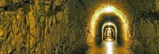 Fort Nelson Victorian Defensive Fort